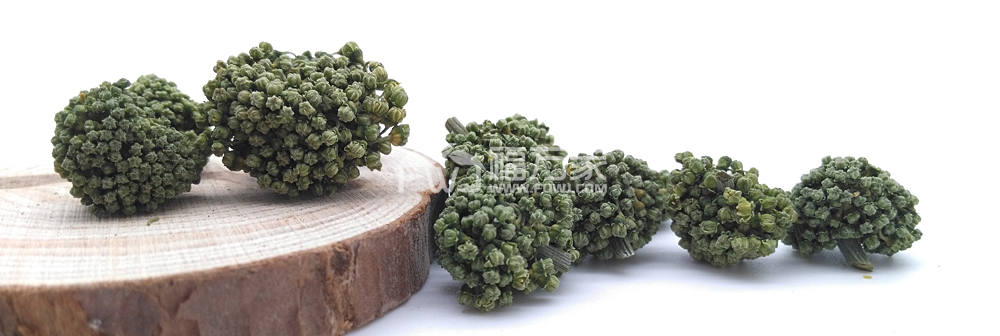 三七花 三七花