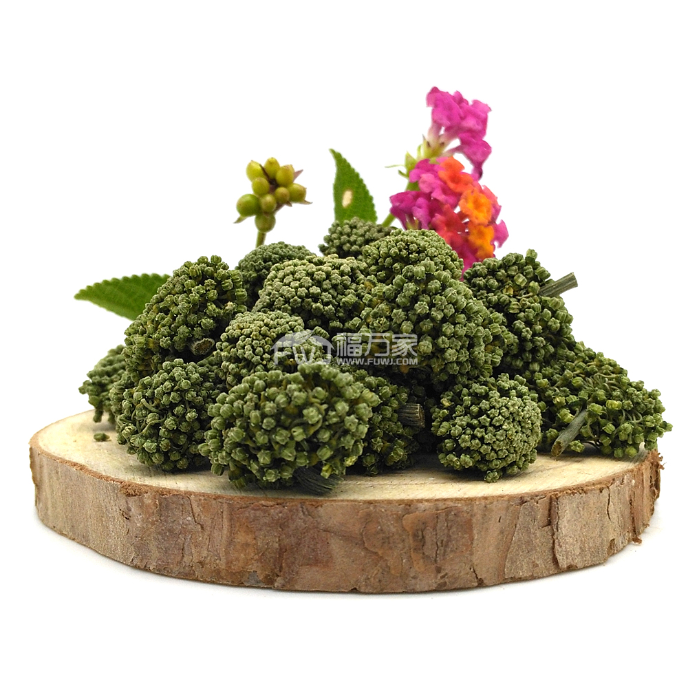 三七花 三七花养生
