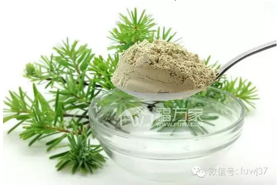 三七粉对抗血栓的作用