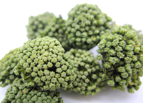 三七花 三七花发霉