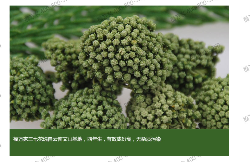 俗称三七花,质脆易碎,气微,味甘微苦,为花草之珍贵者