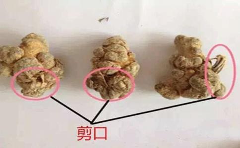 三七不带剪口的大的更好