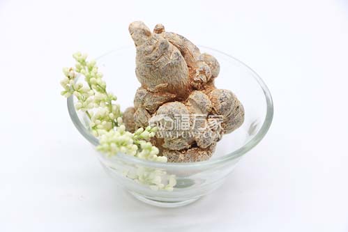 <strong>三七晒干了那么硬怎么吃啊？</strong>