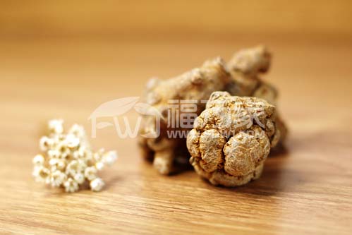 三七可以炖鸡