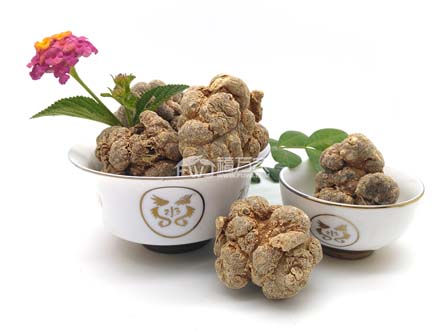 三七吃哪部分