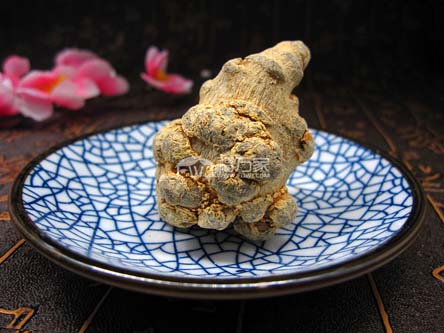 人工种植三七