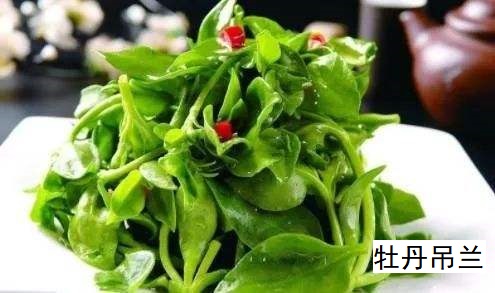 三七菜